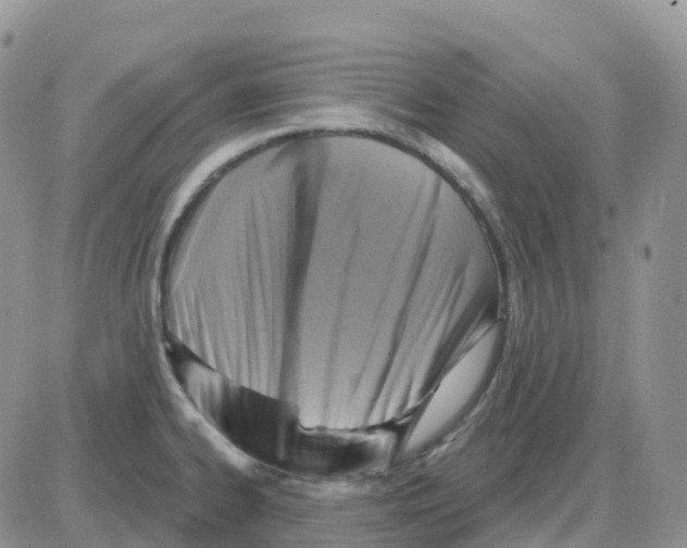 X0000086051334200704202026