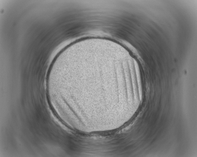 X0000086051335200704202026