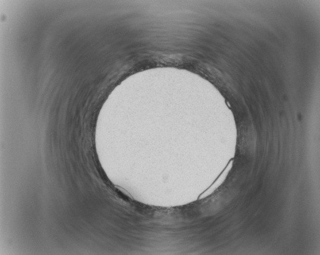 X0000086051345200704202026