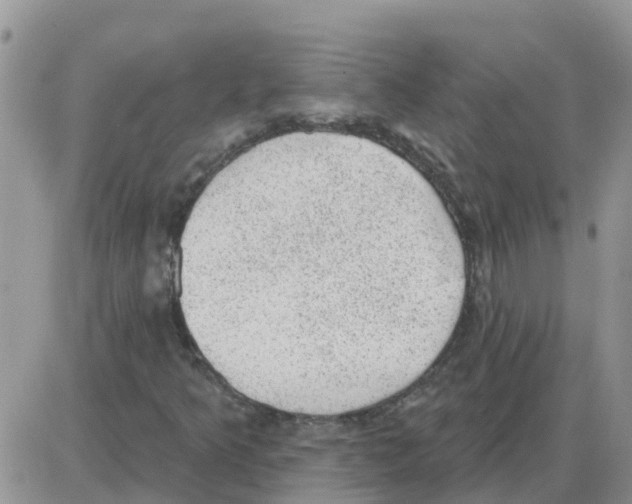 X0000086051349200704202026