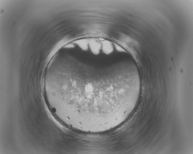 X0000086051383200704202025