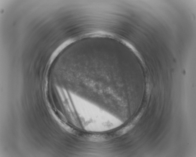 X0000086051418200704202024