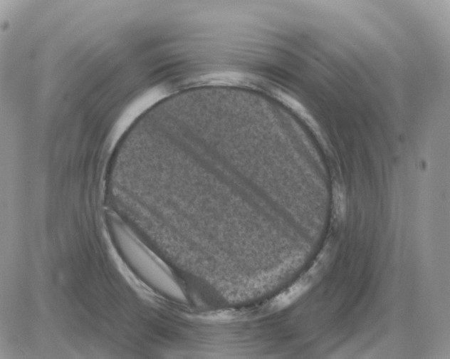 X0000086051426200704202025