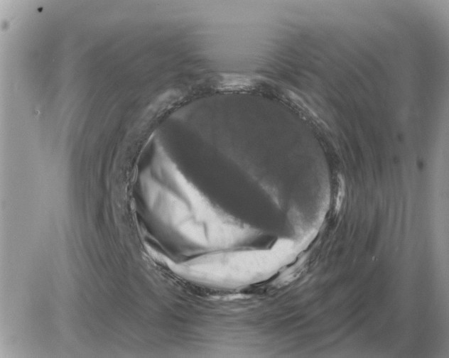 X0000086051441200704202024