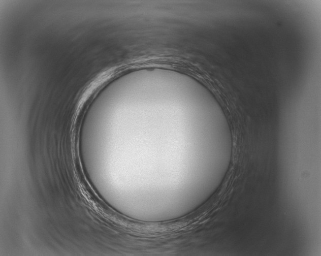 X0000086060006200703230959