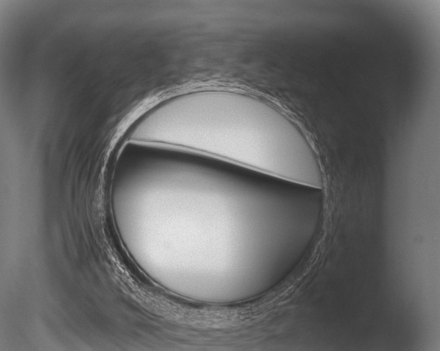 X0000086060008200703230959