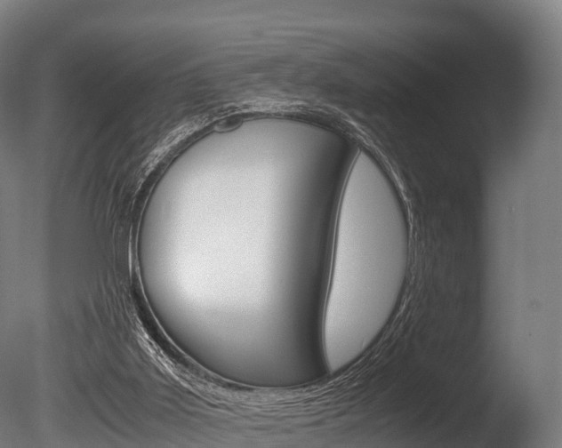 X0000086060011200703230959