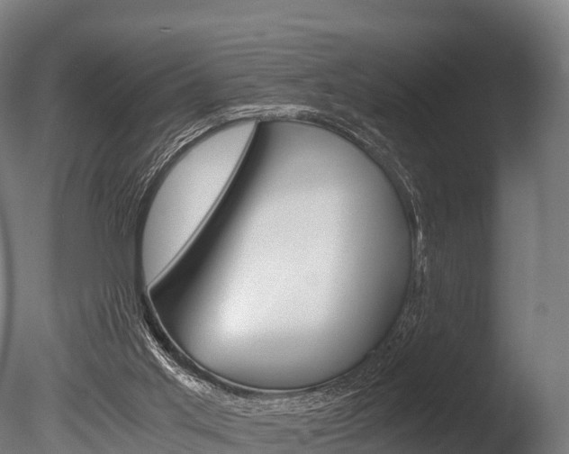 X0000086060013200703230959