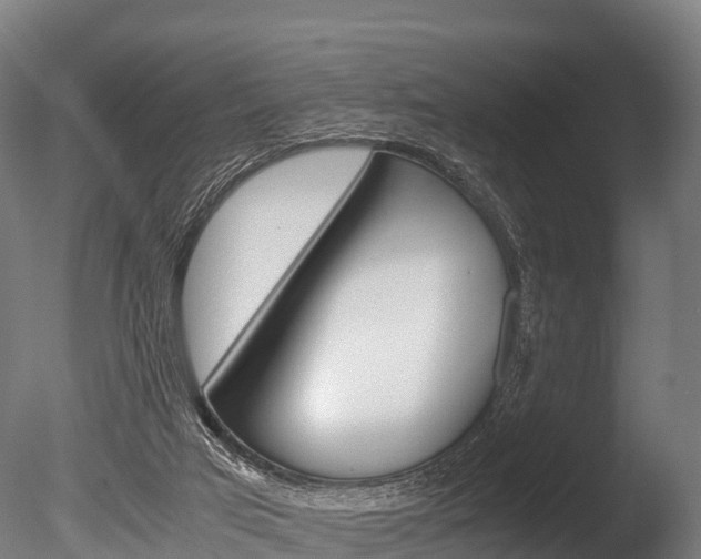 X0000086060017200703230959