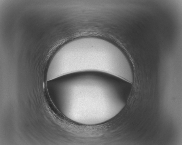 X0000086060019200703230959