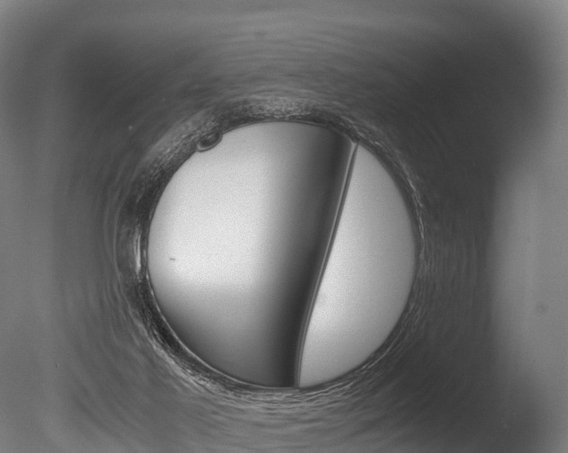 X0000086060021200703230959