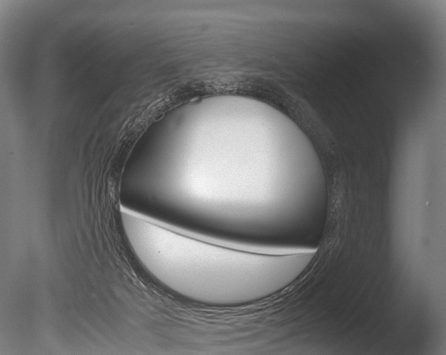 X0000086060025200703230959