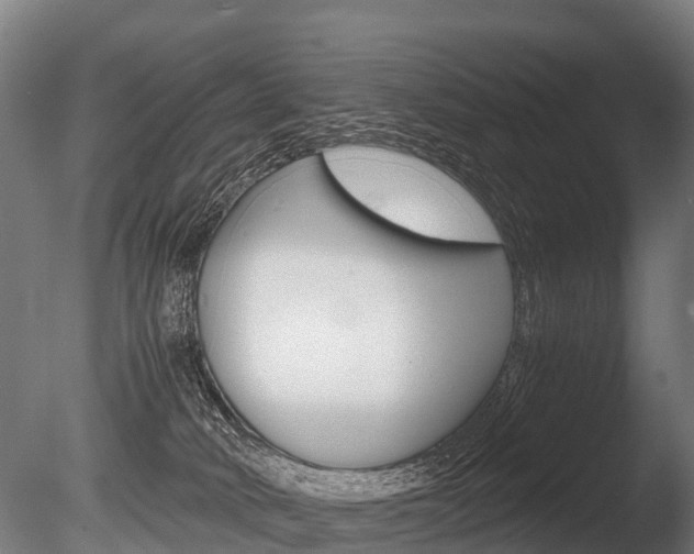 X0000086060034200703230959