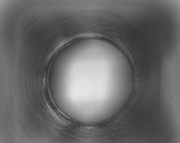 X0000086060063200703230958
