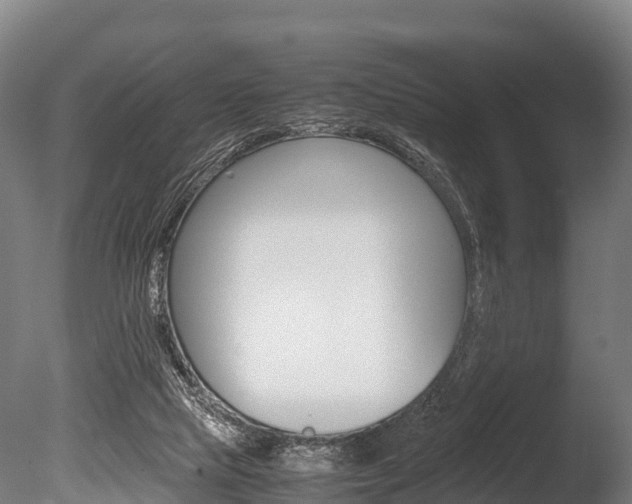 X0000086060065200703230958