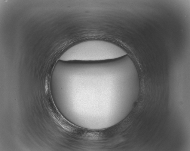 X0000086060069200703230958
