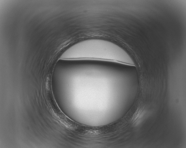 X0000086060071200703230958