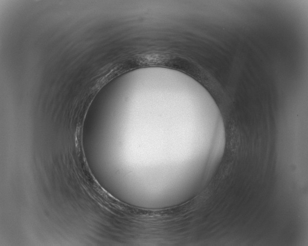 X0000086060075200703230958