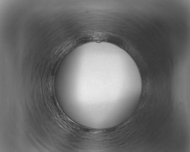 X0000086060078200703230958