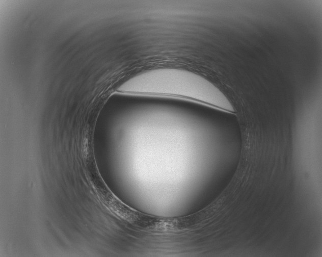 X0000086060080200703230958