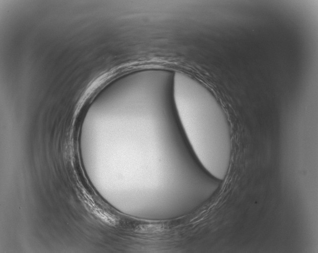 X0000086060102200703230957