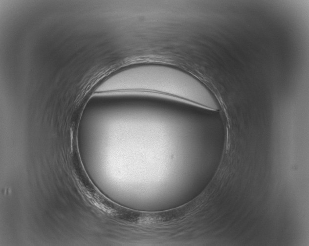 X0000086060109200703230957