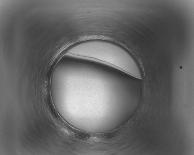X0000086060111200703230957