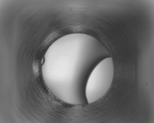 X0000086060124200703230957