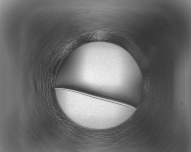 X0000086060127200703230957