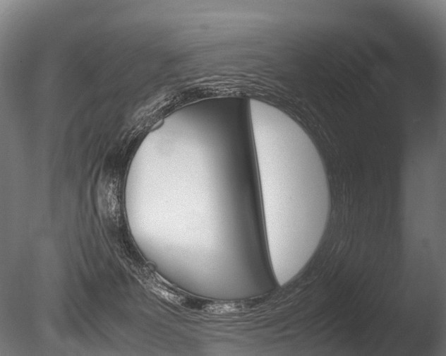 X0000086060131200703230957