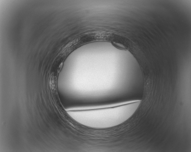 X0000086060137200703230957