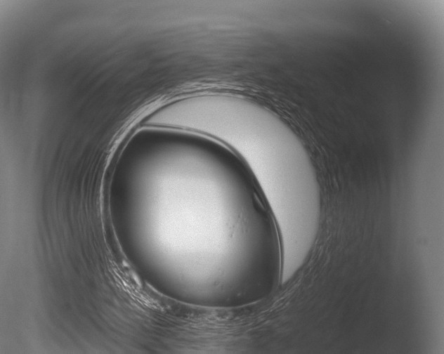 X0000086060148200703230956