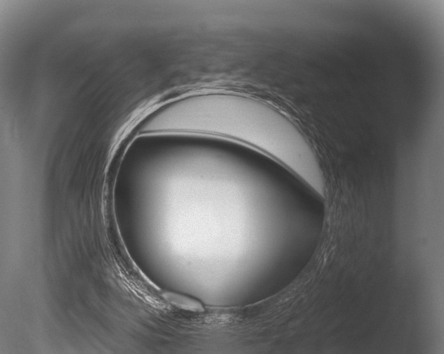 X0000086060152200703230956