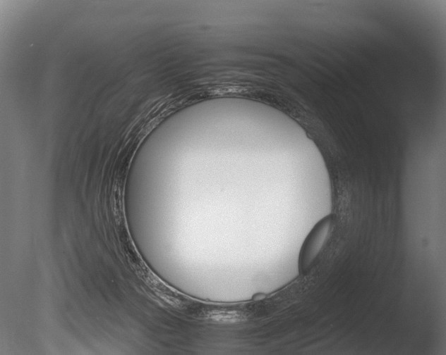 X0000086060169200703230956