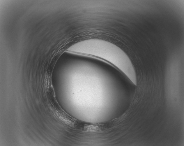 X0000086060180200703230957