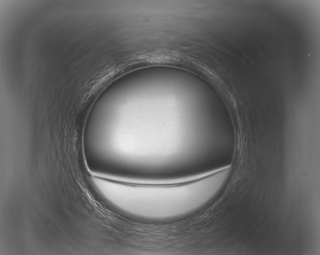 X0000086060201200703230956
