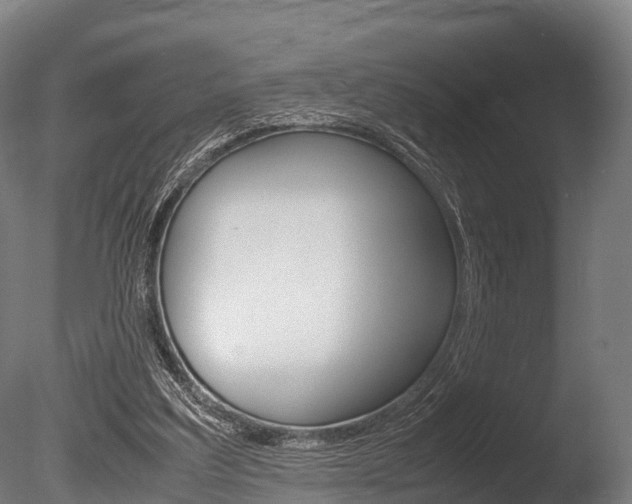 X0000086060203200703230956