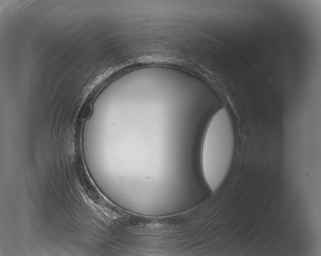 X0000086060204200703230956