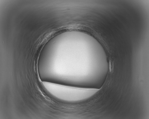 X0000086060205200703230956