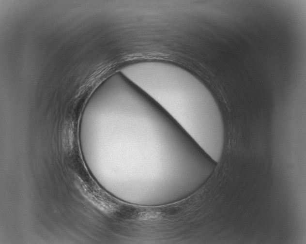 X0000086060206200703230956