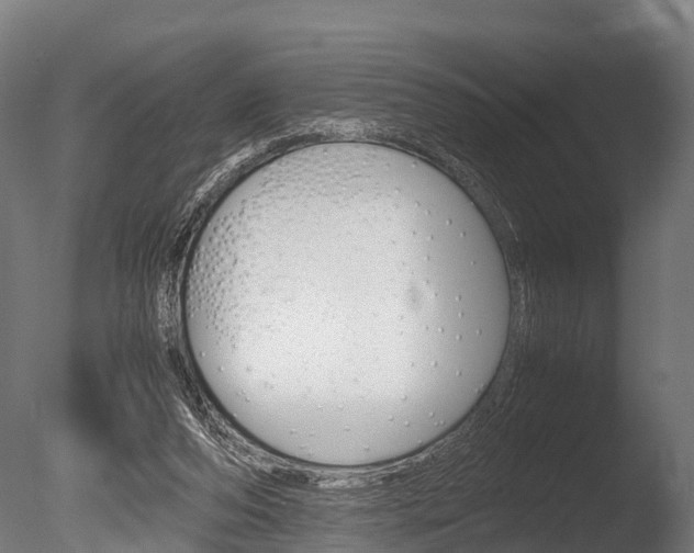 X0000086060208200703230956