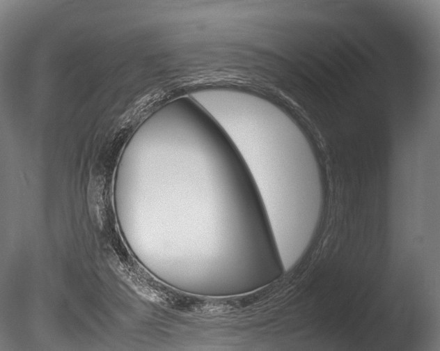 X0000086060209200703230956