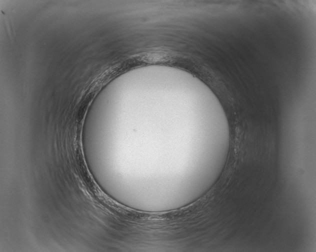X0000086060210200703230956