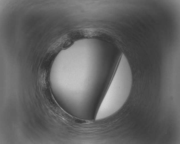 X0000086060219200703230955