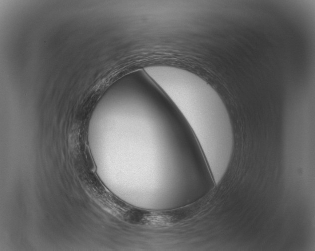 X0000086060221200703230955