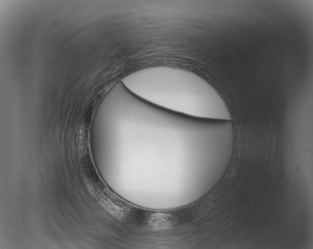 X0000086060222200703230955