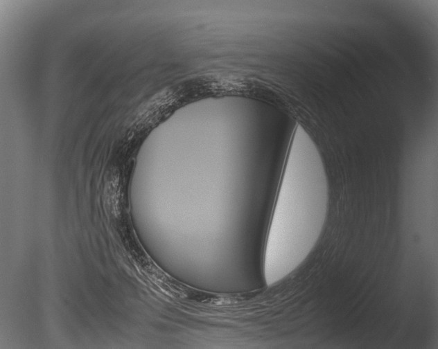 X0000086060223200703230955