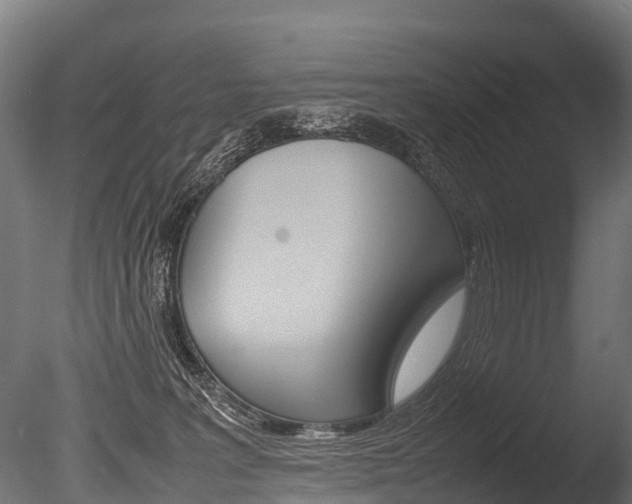 X0000086060227200703230955
