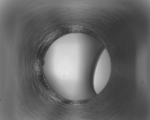 X0000086060228200703230955
