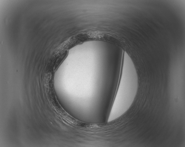 X0000086060229200703230955